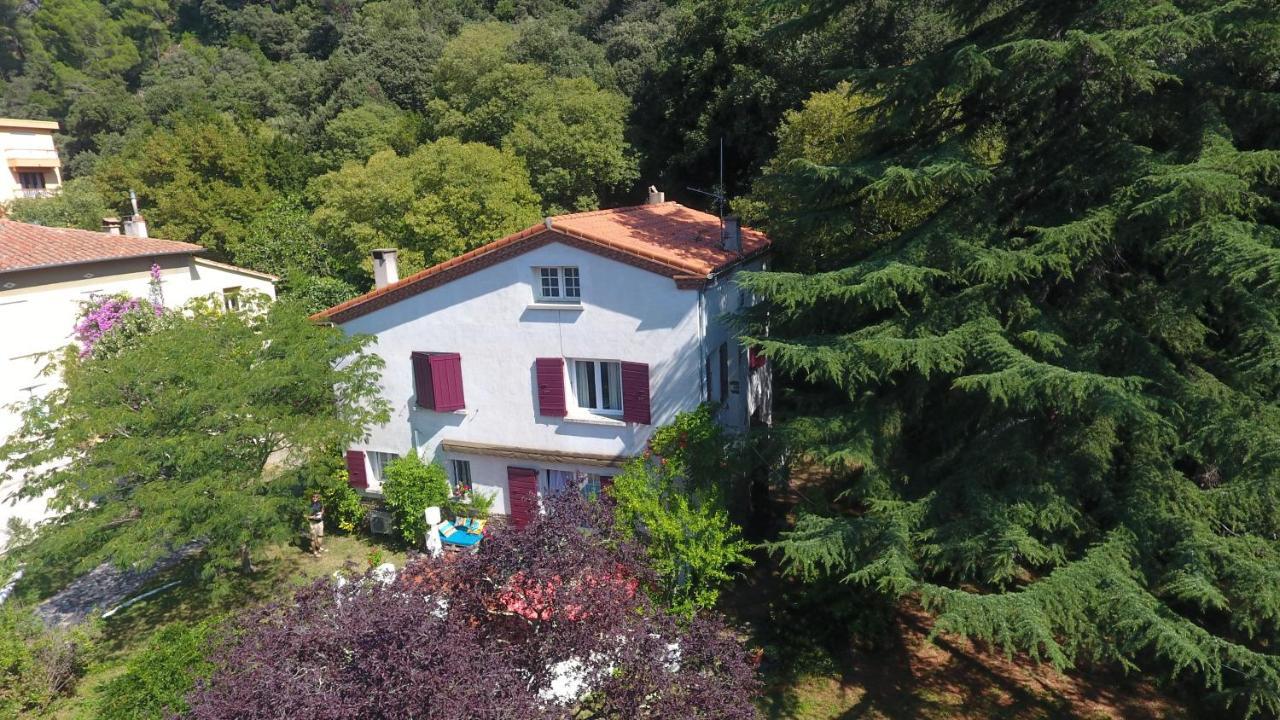 Villa Riviera Chambres Privees Amelie-les-Bains-Palalda ภายนอก รูปภาพ