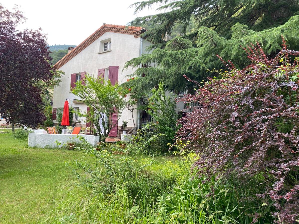 Villa Riviera Chambres Privees Amelie-les-Bains-Palalda ภายนอก รูปภาพ