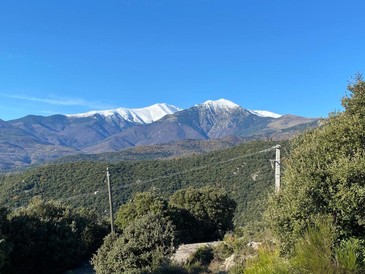 Villa Riviera Chambres Privees Amelie-les-Bains-Palalda ภายนอก รูปภาพ